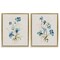Stupell Industries Blue Botanical Herbs 2pc Floating Frame Set Design by Susan Jill